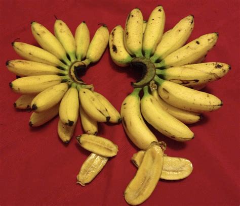 Pisang Emas or Lemak Manis: Which is which? – Suria Helang Lui