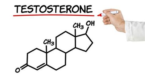 Testosterone Booster Benefits | SpotMeBro's Complete Guide