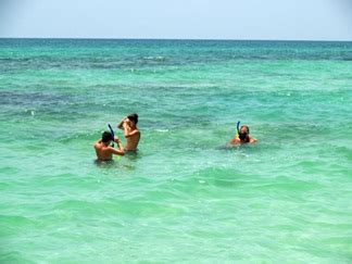 Experience Florida Snorkeling in Sarasota area waters.