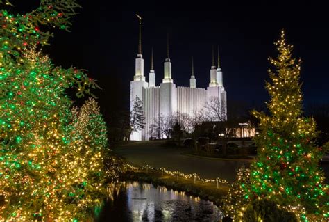 Christmas Lights at Mormon Temple DC Backyard Silver