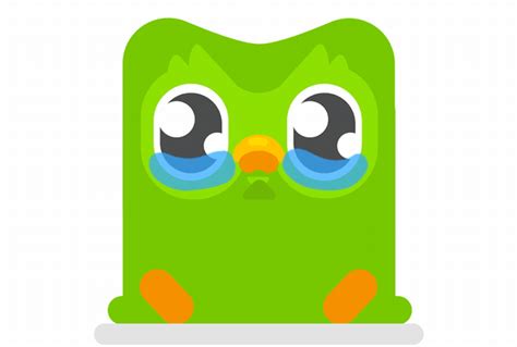 duolingo logo 10 free Cliparts | Download images on Clipground 2024