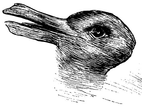 Duck or rabbit? 100-year-old optical illusion could tell you how ...