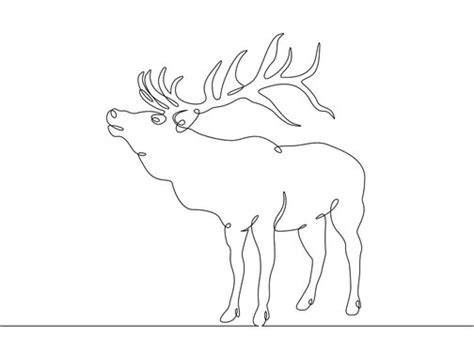 Elk Drawing