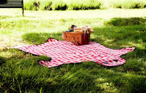 Suck UK Bear Skin Picnic Blanket – NoveltyStreet