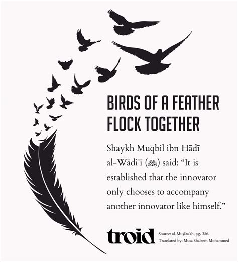 Birds of a Feather Flock Together - troid.org | Digital Daʿwah