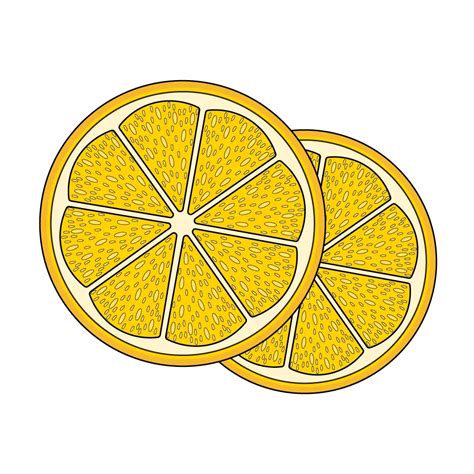 How to Draw A Lemon Slice Step by Step