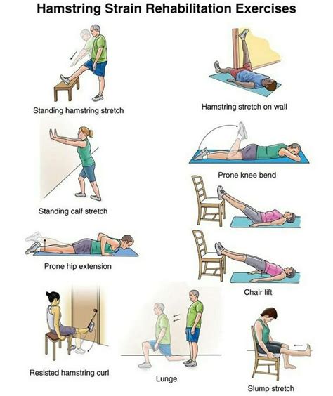 Hamstring Strain Exercises - Forget-Me-Knot