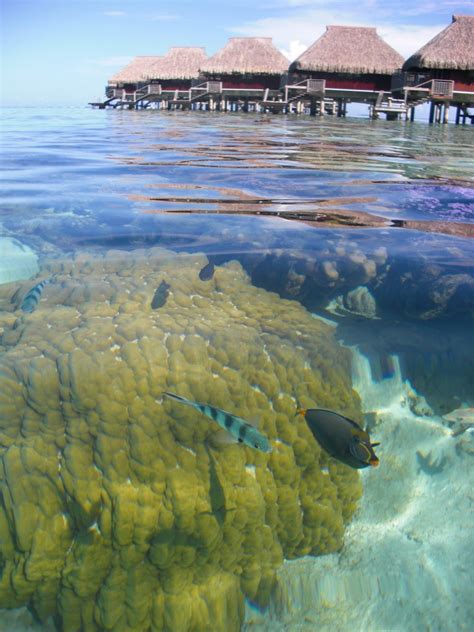 Moorea Lagoon, French Polynesia - Photo of the Day - RTW in 30 Days ...