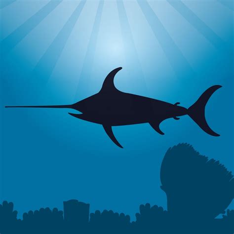 Swordfish Facts - Fun Animals | Cool Kid Facts