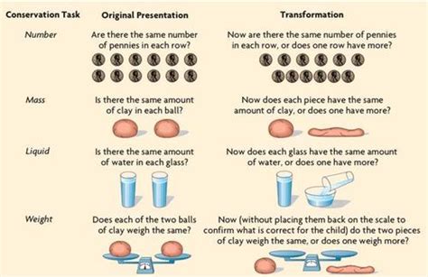 Preoperational - Cognitive development