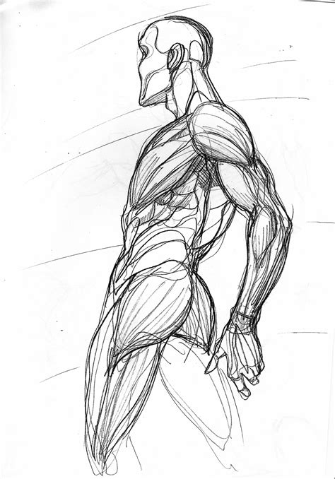 Human Anatomy Sketch ~ 18 Human Anatomy Drawing Ideas And Pose ...