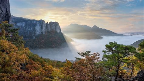 Download wallpaper South Korea, mountains, trees, South Korea, East ...