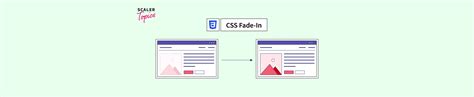 How to Make CSS Fade-in Animation for HTML Elements? - Scaler Topics