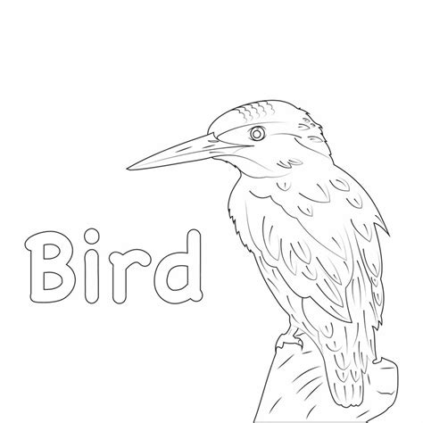 Premium Vector | Coloring Book Bird