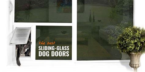 7 Best Sliding Glass Dog Doors – Reviews, Safety, Insulation & FAQ