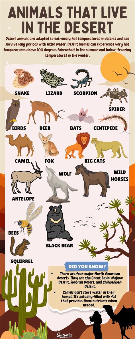 Desert Animals With Names Chart