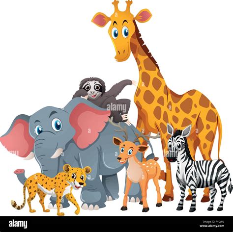 Wildlife Animals Clipart Image