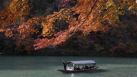 Exploring Kyoto's Sagano Bamboo Forest - CNN.com