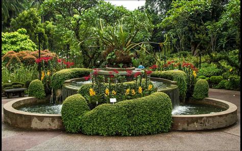 Singapore Botanic Gardens - Holidify