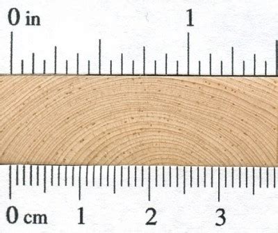 Limber Pine | The Wood Database - Lumber Identification (Softwood)