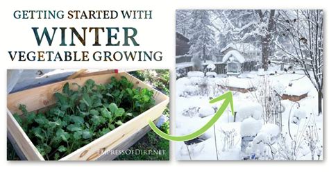 How To Preserve Garden Vegetables For Winter | Fasci Garden