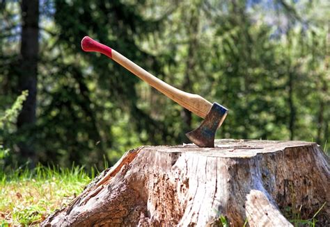 Premium Photo | Lumberjack axe