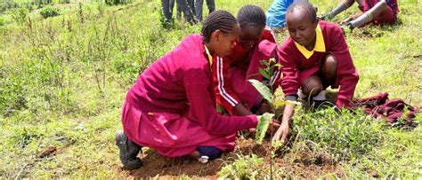 Kenya's President led a tree-planting event to spark the increase of ...