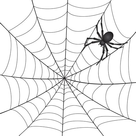 Premium Vector | Spiderweb with Spider on white background. Illustration