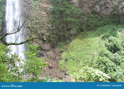 The Atmosphere in the Coban Rondo Waterfall Which Has Many Monkeys ...