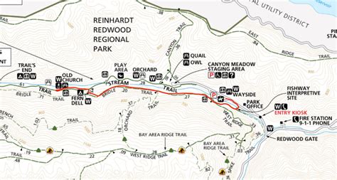 Bridle Trail at Reinhardt Redwood Regional Park - Lonely Hiker