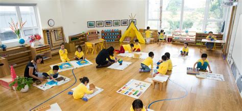 All about Montessori schools – Healthy Food Near Me