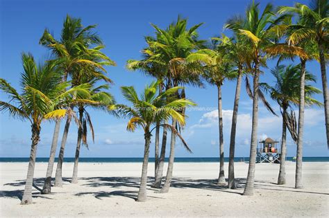 My Paradise - Key Biscayne, Florida - Matt Tilghman Photography