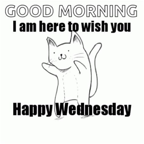 Happy Wednesday GIF - Happy Wednesday - Discover & Share GIFs