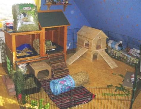 17 Best images about Rabbit Housing Ideas - Indoors on Pinterest ...