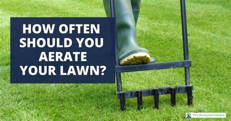 How Often Should You Aerate Your Lawn? (The Surprising Answer) - The ...