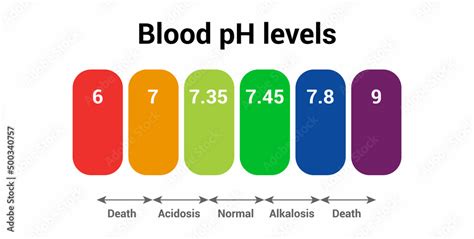 Human blood pH level icon Stock Vector | Adobe Stock