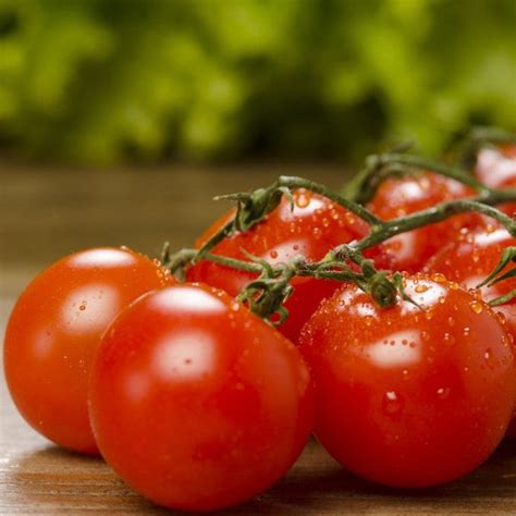 Tomato Care: Planting, Growing, and Harvesting - The Gardeners Guide