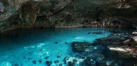 Experience Ultimate Thrill in Cenote Dos Ojos Cave Dive