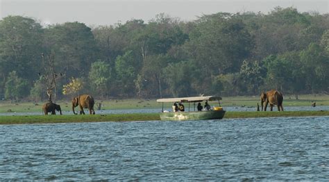 Resorts in Kabini - Kabini resorts | Jungle Lodges