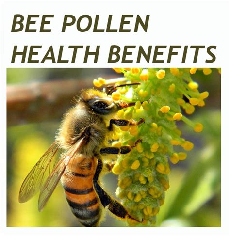 Bee Pollen and its benefits | Forever Living Products