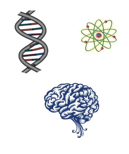 Amazon.com: Science Temporary Tattoo (Classroom Pack) : Beauty ...