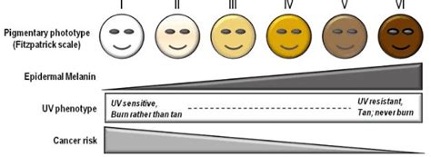 What Is Almond Skin Tone? (With Pictures) - Skin Care Geeks