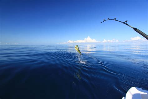 Sport Fishing Wallpapers - Wallpaper Cave