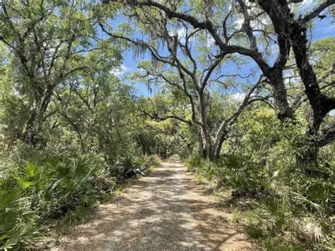 10 Best Hikes and Trails in Myakka River State Park | AllTrails