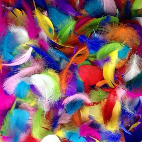 Mix color 100pcs Goose Feathers 8 12cm Goose Feather stage Plumes ...