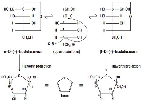 Fructose and its structure. - Sarthaks eConnect | Largest Online ...