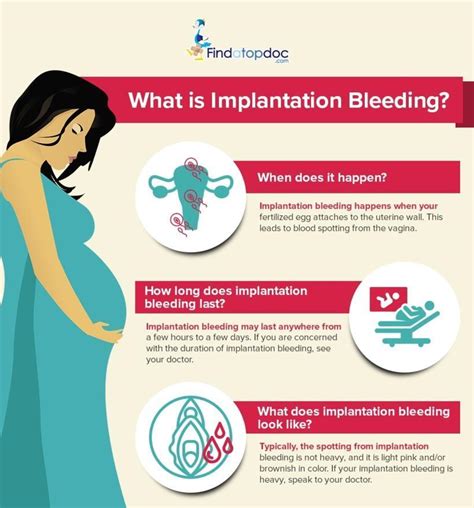 Know About Implantation Bleeding During Pregnancy For More Information ...