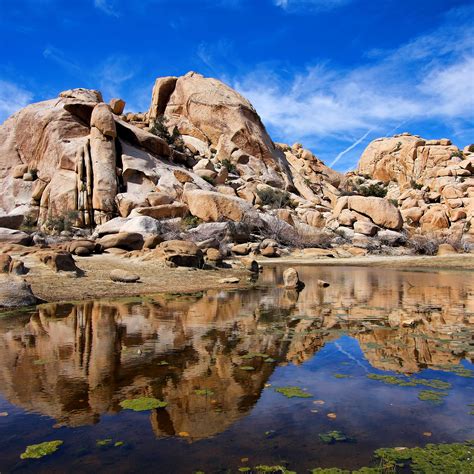 Top Wow Spots of Joshua Tree National Park - Sunset Magazine