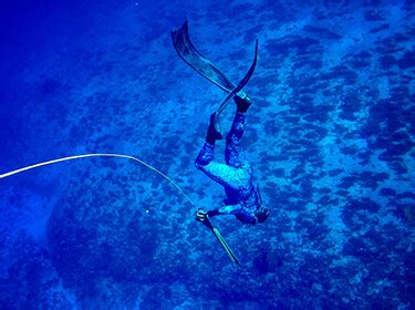 Spearfishing Gear: The Essential Freediving & Spearfishing Equipment