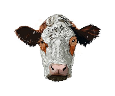 Update 119+ realistic cow drawing best - seven.edu.vn